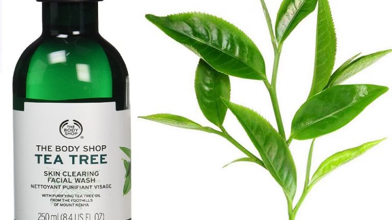 The body shop tea tree face wash review benefits