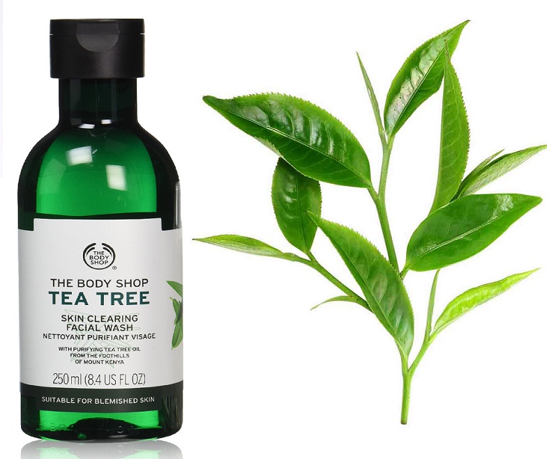Чайное дерево геншин. "Tea Tree foot Soak" Melao. Чайное дерево. Масло чайного дерева. Чайное дерево эфирное.