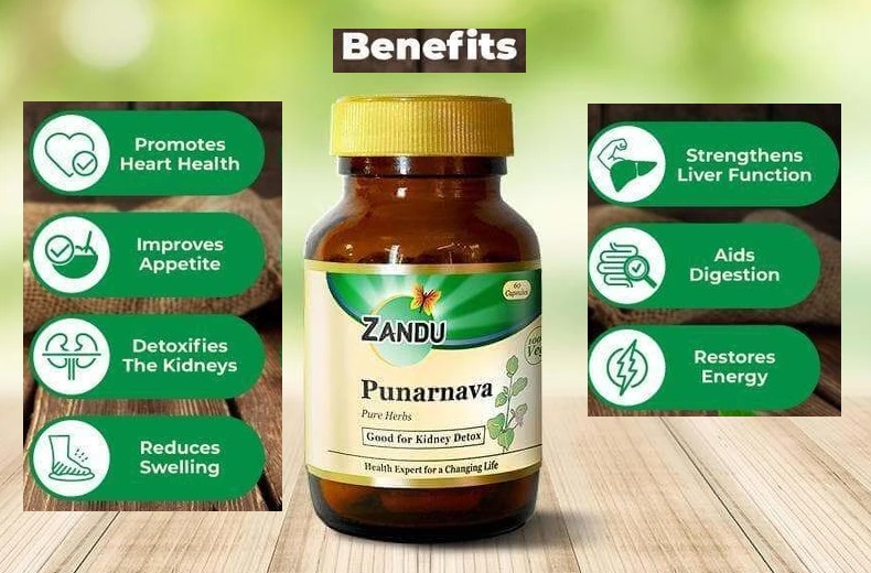 Zandu Punarnava capsules benefits review