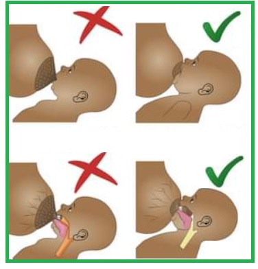 Breastfeeding Techniques & Breastfeeding Position for New Born
