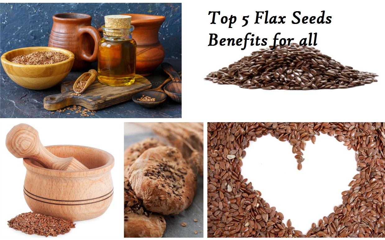 Top 5 Flax Seeds Benefits for all 