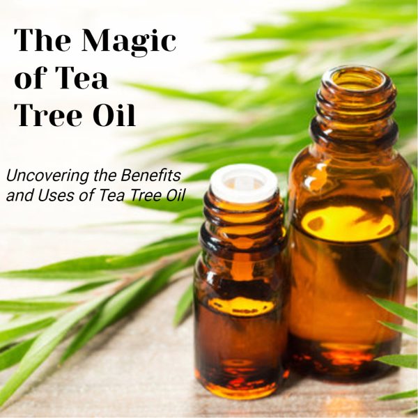 The Magic of Tea Tree Oil: Uncovering the Benefits and Uses of Tea Tree Oil