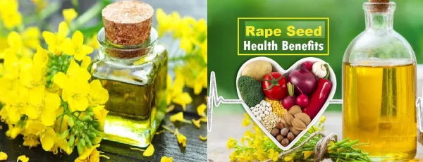 Rapeseed Benefits: The Powerful Protein Source