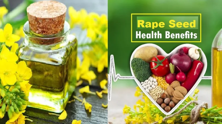 Rapeseed Benefits: The Powerful Protein Source