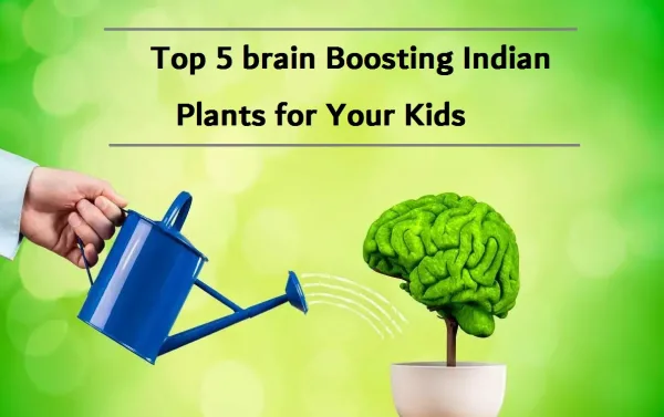 Top 5 brain Boosting Indian Plants for Your Kids: Benefits & Remedy