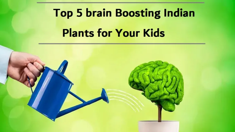 Top 5 brain Boosting Indian Plants for Your Kids
