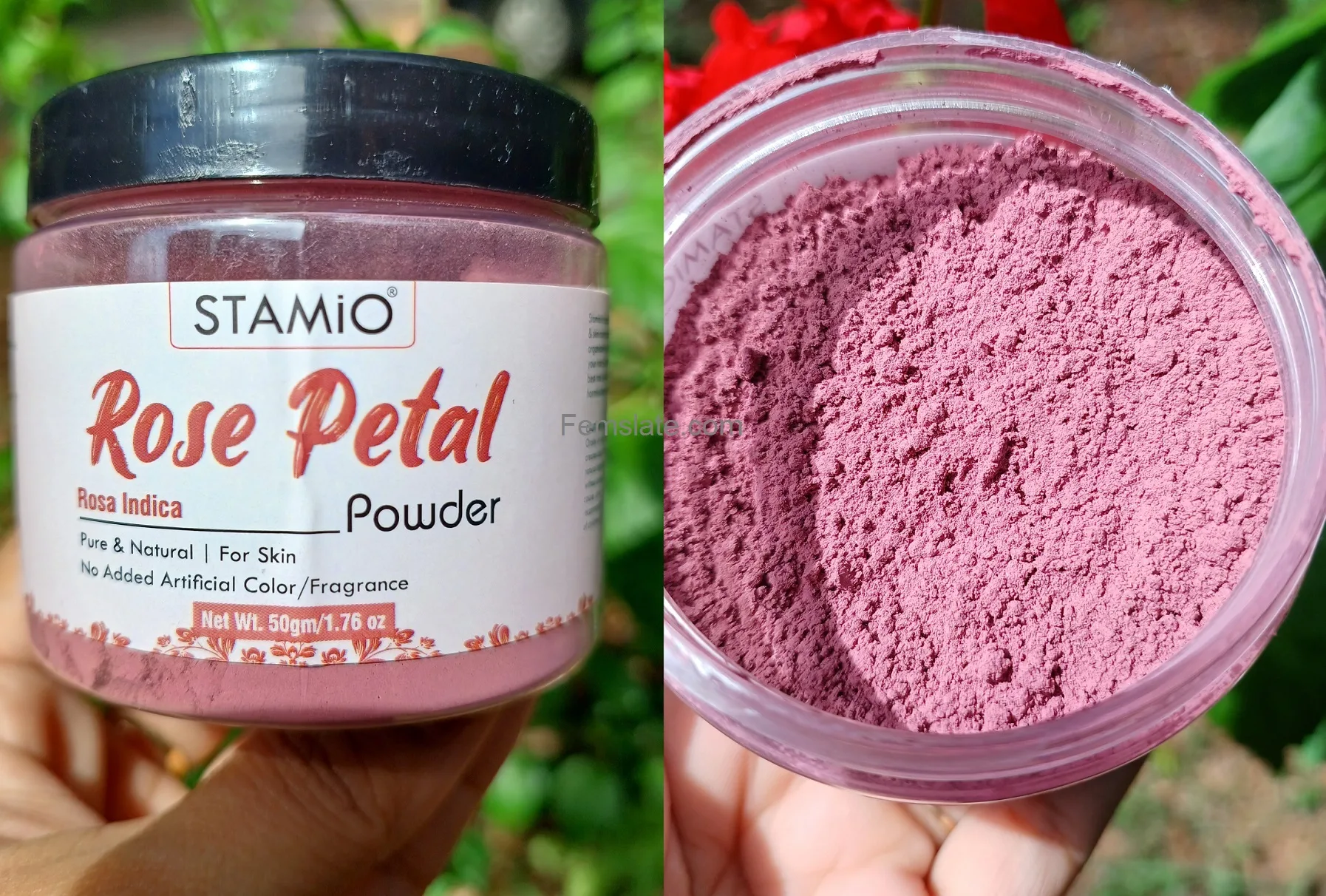 Stamio Rose Petal Powder Review