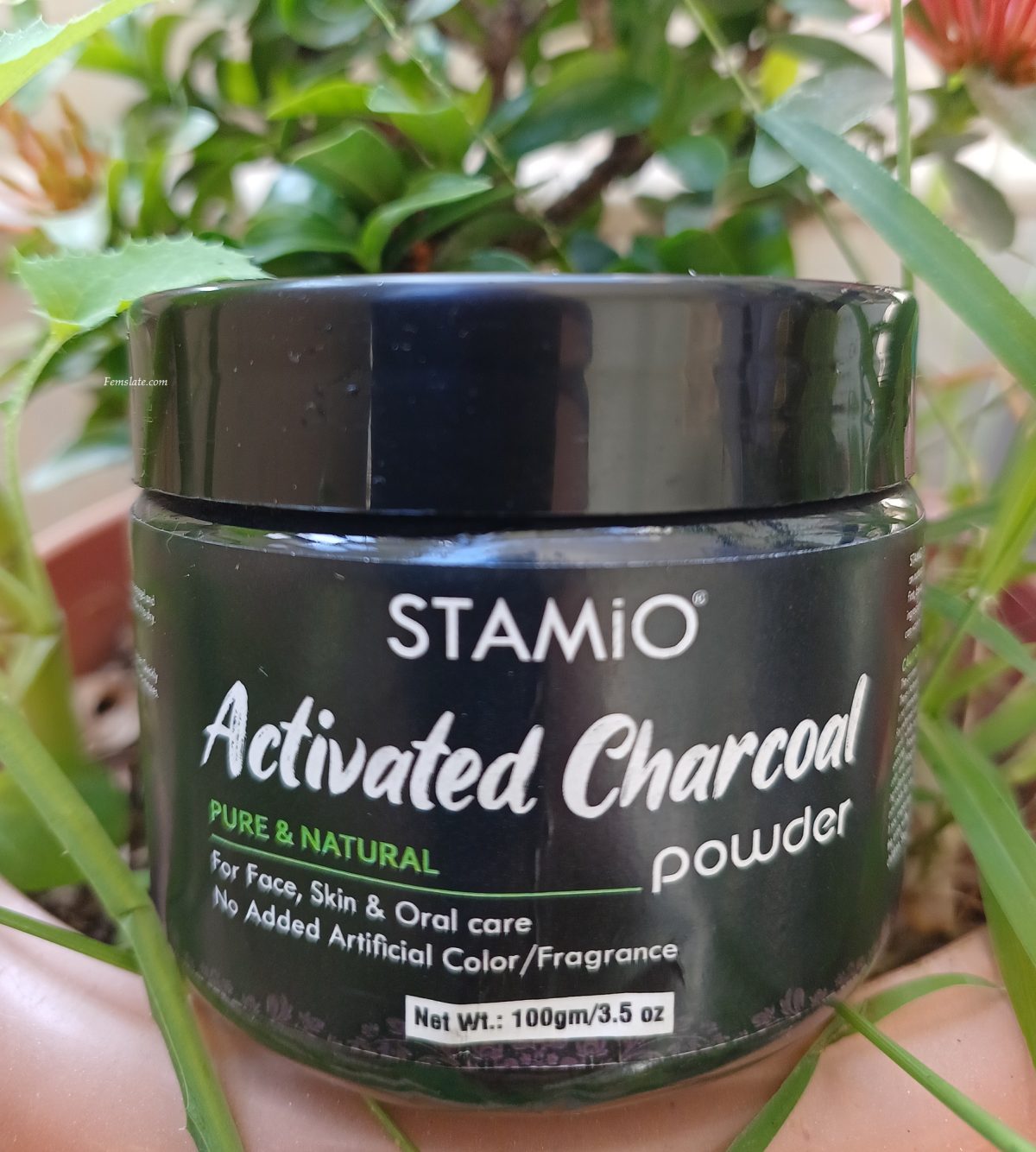 Stamio Activate Charcoal Powder Review